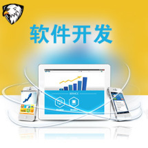 軟件外包服務(wù)全解析 報(bào)價(jià)、收費(fèi)模式與九品制服務(wù)分級(jí)